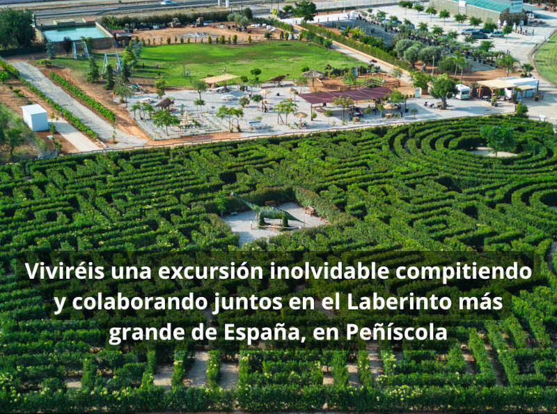 actividad colegios en peñíscola: escape room exterior en el laberinto